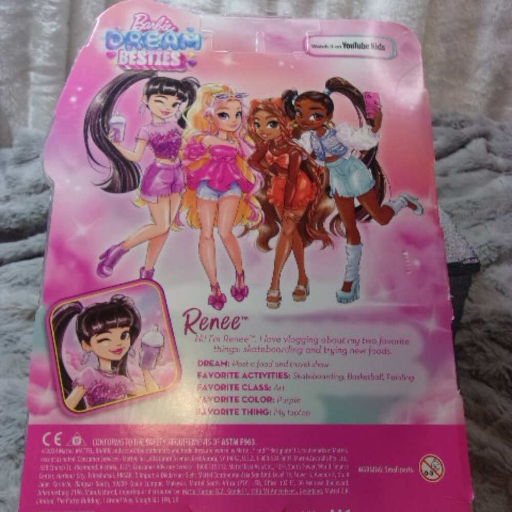 T-159 NEW IN PACKAGE BARBIE DREAM BESTIES RENEE DOLL W/ACCESSORIES - Picture 11 of 13